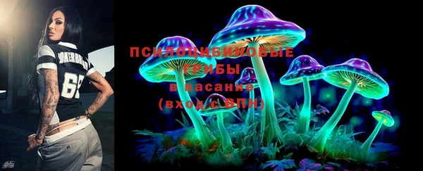 бошки Медвежьегорск