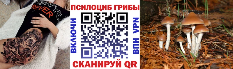 Галлюциногенные грибы Cubensis  где можно купить   Ханты-Мансийск 