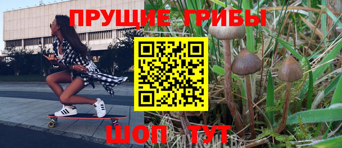 где купить наркотик  Псилоцибиновые грибы прущие грибы  Псилоцибиновые грибы ЛСД  Вход с VPN  Ханты-Мансийск 